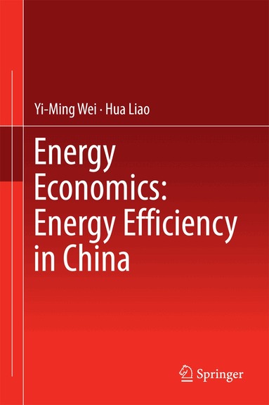 Yi-Ming Wei, Hua Liao - Energy Economics: Energy Efficiency in China, Inbunden