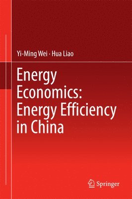 bokomslag Energy Economics: Energy Efficiency in China