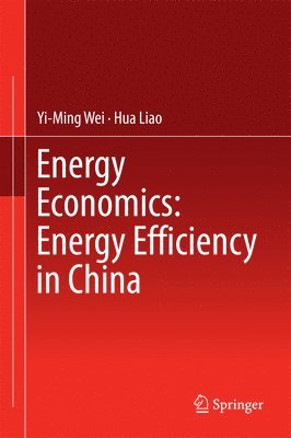 Yi-Ming Wei, Hua Liao - Energy Economics: Energy Efficiency in China, Inbunden