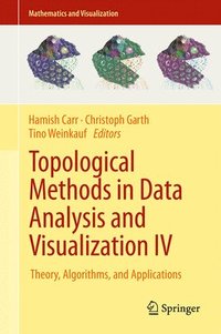 bokomslag Topological Methods in Data Analysis and Visualization IV