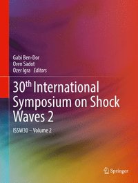 bokomslag 30th International Symposium on Shock Waves 2