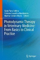 bokomslag Photodynamic Therapy in Veterinary Medicine: From Basics to Clinical Practice