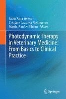 bokomslag Photodynamic Therapy in Veterinary Medicine: From Basics to Clinical Practice