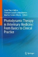Fábio Parra Sellera, Cristiane Lassálvia Nascimento, Martha Simões Ribeiro - Photodynamic Therapy in Veterinary Medicine: From Basics to Clinical Practice, Inbunden