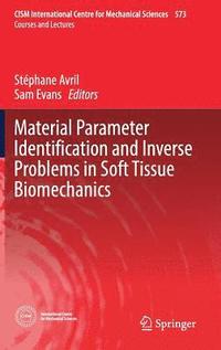 bokomslag Material Parameter Identification and Inverse Problems in Soft Tissue Biomechanics