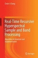 bokomslag Real-Time Recursive Hyperspectral Sample and Band Processing