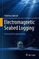 bokomslag Electromagnetic Seabed Logging