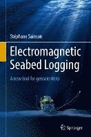 Electromagnetic Seabed Logging