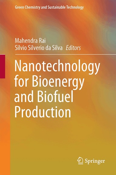Mahendra Rai, Silvio Silvério da Silva - Nanotechnology for Bioenergy and Biofuel Production, Inbunden