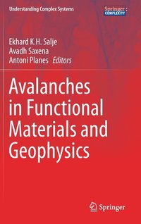 bokomslag Avalanches in Functional Materials and Geophysics