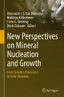 bokomslag New Perspectives on Mineral Nucleation and Growth