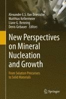 bokomslag New Perspectives on Mineral Nucleation and Growth