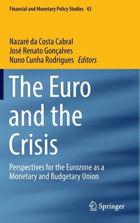bokomslag The Euro and the Crisis