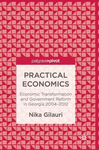 bokomslag Practical Economics