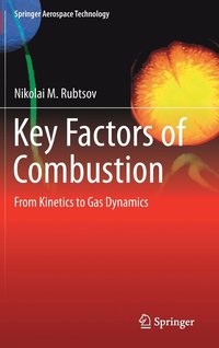 bokomslag Key Factors of Combustion