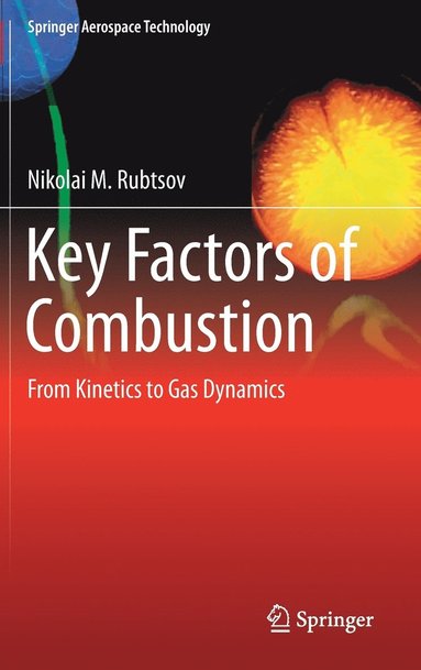 bokomslag Key Factors of Combustion