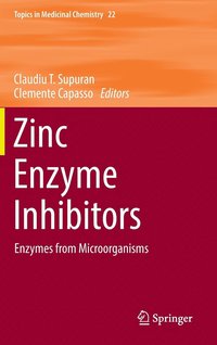 bokomslag Zinc Enzyme Inhibitors