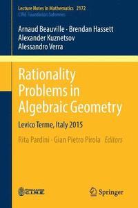 bokomslag Rationality Problems in Algebraic Geometry