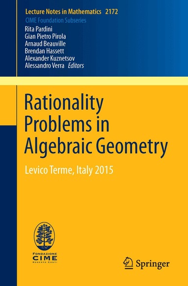 Arnaud Beauville, Brendan Hassett, Alexander Kuznetsov, Alessandro Verra, Rita Pardini, Gian Pietro Pirola - Rationality Problems in Algebraic Geometry, Häftad