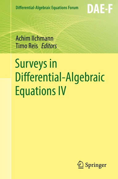 Achim Ilchmann, Timo Reis - Surveys in Differential-Algebraic Equations IV, Häftad