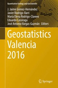 bokomslag Geostatistics Valencia 2016