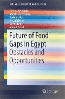 Future of Food Gaps in Egypt 1