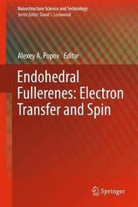 bokomslag Endohedral Fullerenes: Electron Transfer and Spin