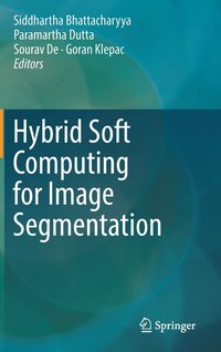 bokomslag Hybrid Soft Computing for Image Segmentation