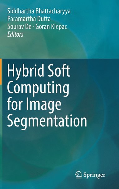 bokomslag Hybrid Soft Computing for Image Segmentation