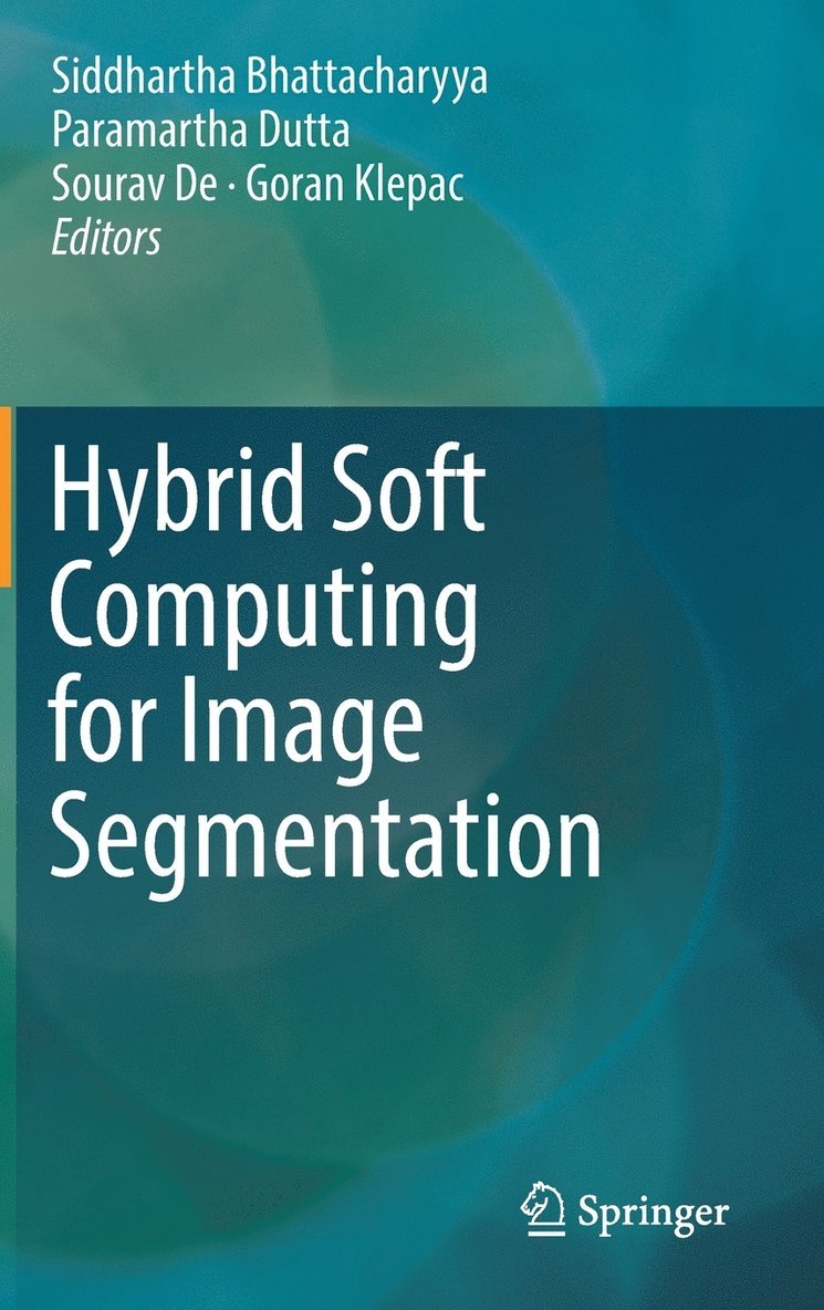 Hybrid Soft Computing for Image Segmentation 1