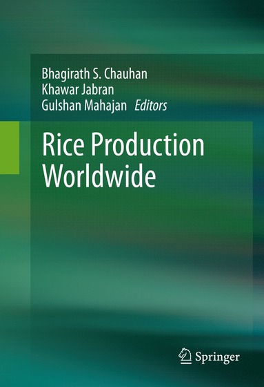 bokomslag Rice Production Worldwide