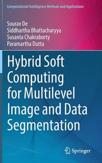 bokomslag Hybrid Soft Computing for Multilevel Image and Data Segmentation