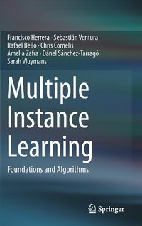 bokomslag Multiple Instance Learning