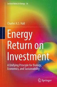 bokomslag Energy Return on Investment