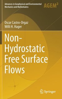 bokomslag Non-Hydrostatic Free Surface Flows