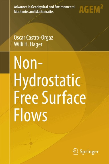 Oscar Castro-Orgaz, Willi H. Hager - Non-Hydrostatic Free Surface Flows, Inbunden