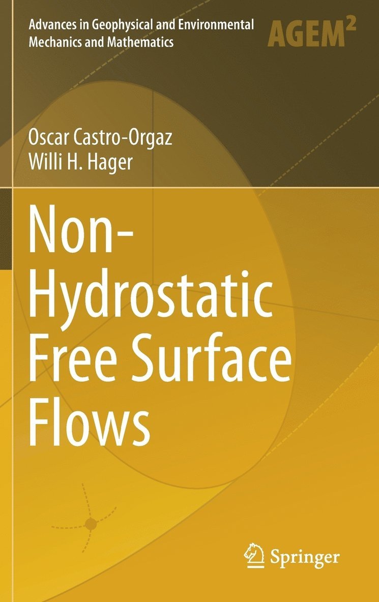 Non-Hydrostatic Free Surface Flows 1