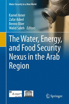 bokomslag Water, Energy, and Food Security Nexus in the Arab Region
