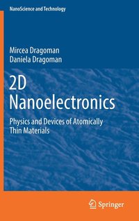 bokomslag 2D Nanoelectronics
