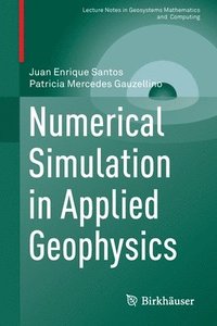 bokomslag Numerical Simulation in Applied Geophysics