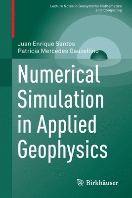 Juan Enrique Santos, Patricia Mercedes Gauzellino - Numerical Simulation in Applied Geophysics, Häftad