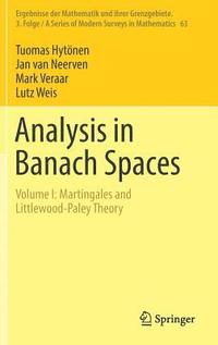 bokomslag Analysis in Banach Spaces