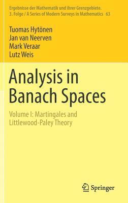 Analysis in Banach Spaces 1