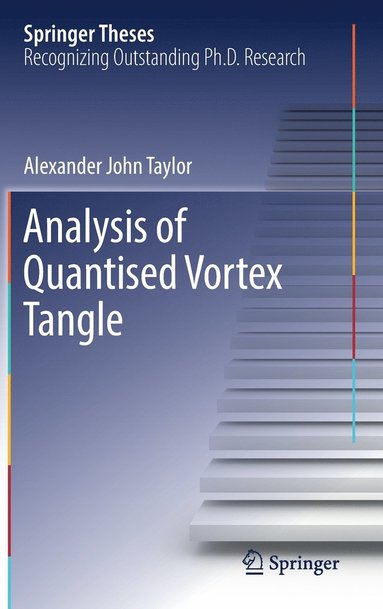 bokomslag Analysis of Quantised Vortex Tangle