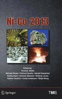 bokomslag Ni-Co 2013