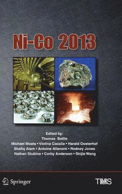 Ni-Co 2013 1