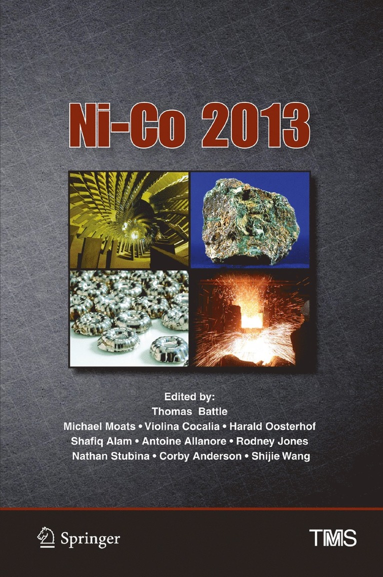 Thomas Battle, Michael Moats, Violina Cocalia, Harald Oosterhof, Shafiq Alam, Antoine Allanore, Rodney Jones, Nathan Stubina, Corby Anderson, Shijie Wang - Ni-Co 2013, Inbunden