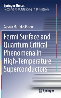 bokomslag Fermi Surface and Quantum Critical Phenomena of High-Temperature Superconductors