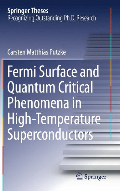 bokomslag Fermi Surface and Quantum Critical Phenomena of High-Temperature Superconductors