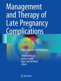 bokomslag Management and Therapy of Late Pregnancy Complications